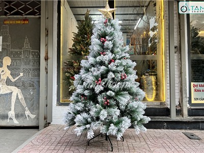 Cây thông Noel phủ tuyết cước 2 loại lá gắn trái đỏ cao 180cm X-TREE-40